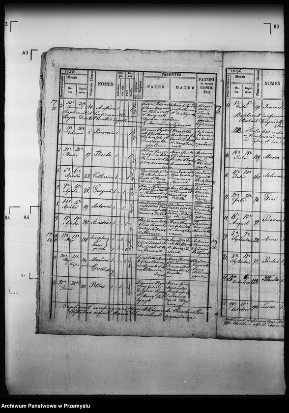 image.from.unit.number "[Kopie ksiąg metrykalnych parafii Tylicz z filią Muszynka (dekanat Muszyna)]"