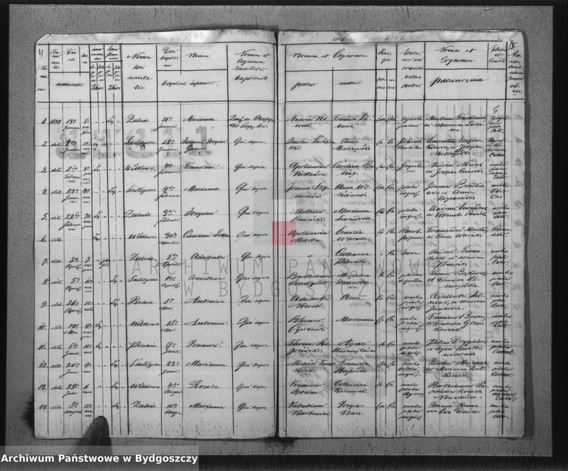 image.from.unit.number "Liber Duplicatus Baptisatorum, Mortuorum et Copulatorum Ecclesaie Parochialis Pacostensis ex Villis de Districtu Szubiniensi pro Anno Domini 1844"
