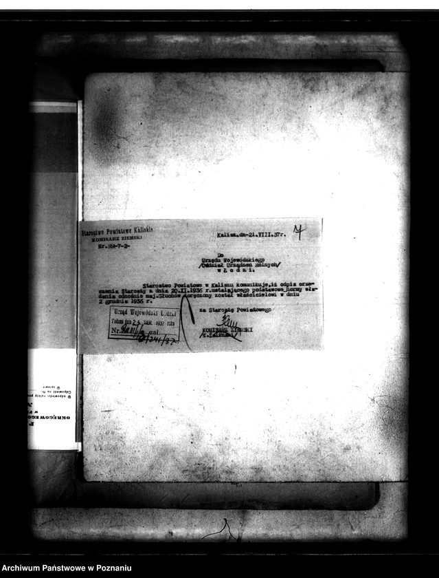 Obraz 11 z jednostki "Majątek Głuchów powiatu tureckiego nadzwyczajny wykaz imienny z 1936 r."