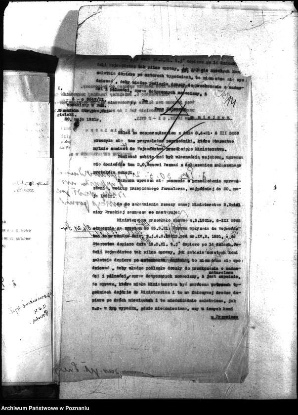 Obraz 18 z jednostki "Nosacizna - Śmigiel"