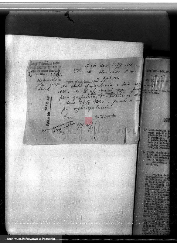 Obraz 6 z jednostki "Majętność /leśna/ Olesiec-Chocz powiat koniński"