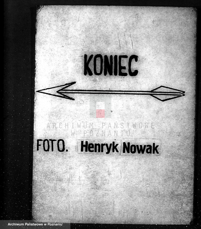 Obraz 17 z jednostki "Majętność leśna Srocko-Wielkie powiat kościański"