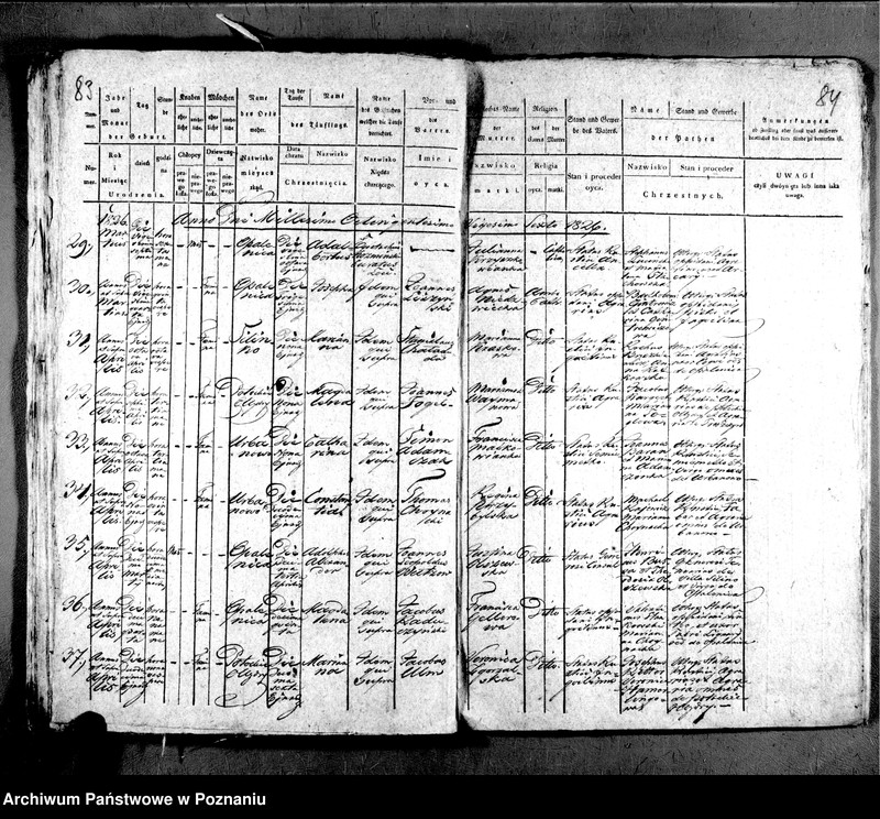 image.from.unit.number "Liber baptisatorum"