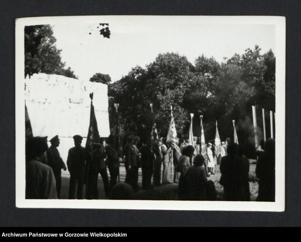 image.from.team "Zakłady Stolarki Budowlanej "Stolbud" w Gorzowie Wielkopolskim"