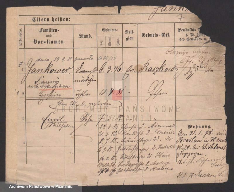 Obraz 7 z jednostki "Janko - Jankowiak (żonaci, samotni mężczyźni)"