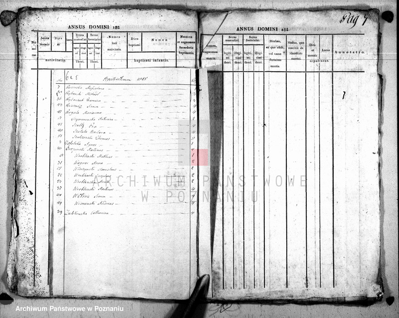 image.from.unit.number "Duplikat baptisatorum, copulatorum u. mortuorum"