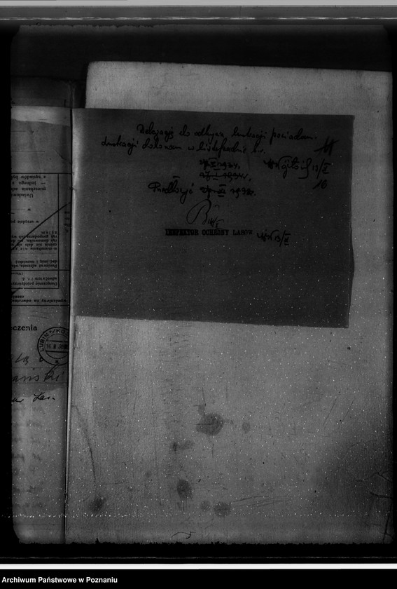 Obraz 20 z jednostki "Nadzór nad gospodarką w lasach O.O. Benedyktynów w Lubiniu powiat kościański"