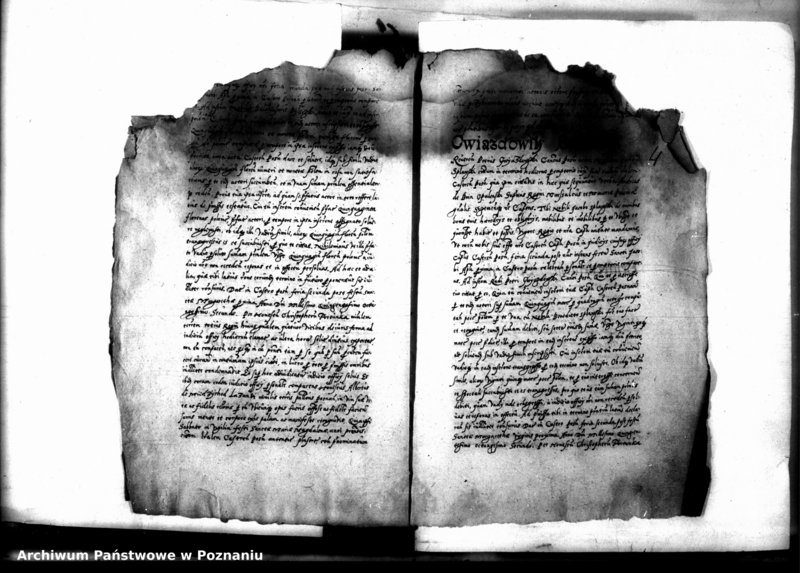 Obraz 7 z jednostki "Decreta officii [inducta]"