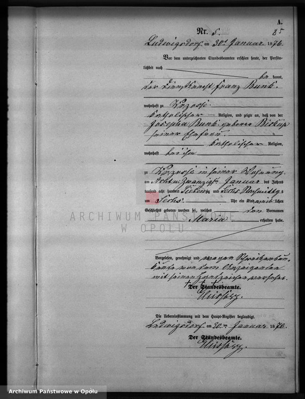 image.from.unit.number "Geburts-Neben-Register Standesamts Ludwigsdorf pro 1876"