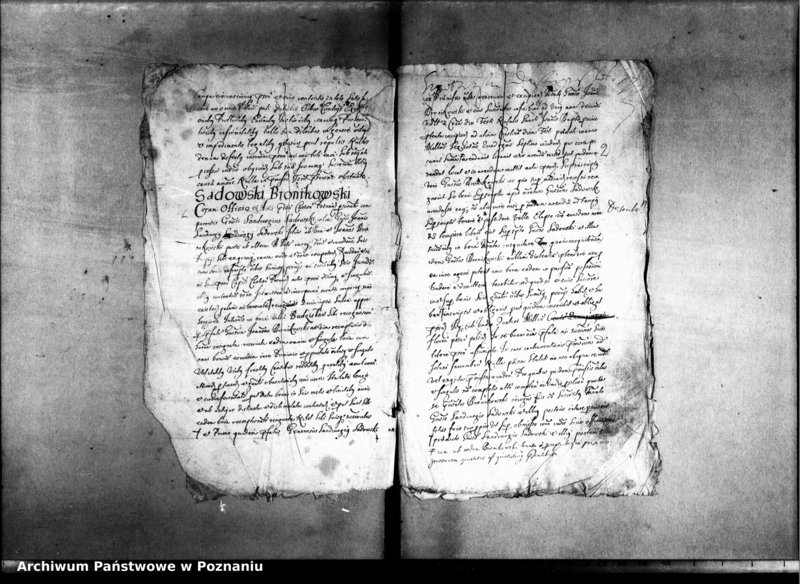 Obraz 5 z jednostki "Decreta officii [inducta]"