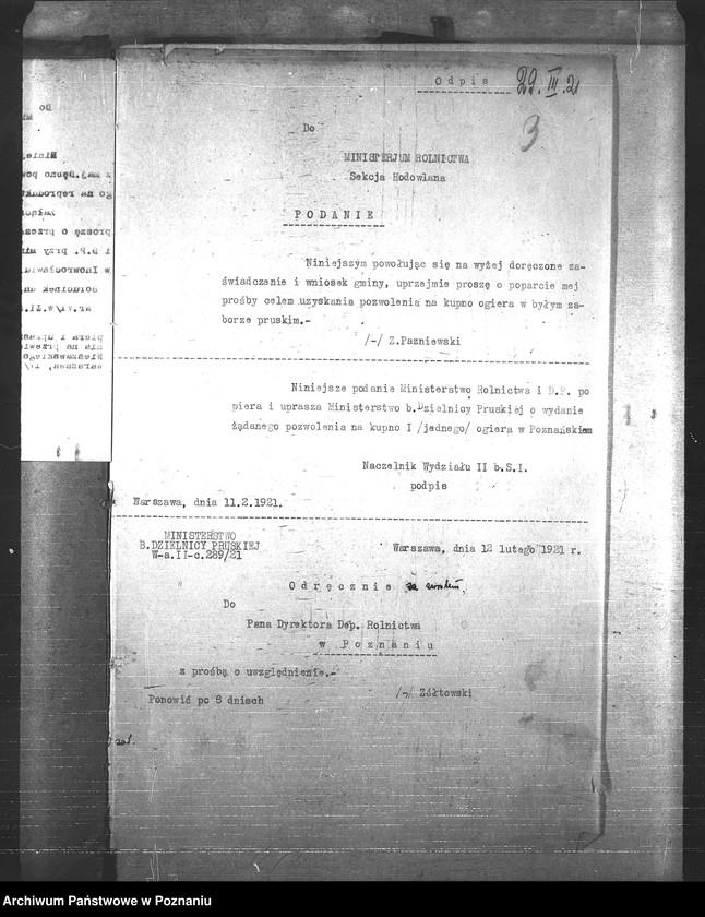 Obraz 7 z jednostki "Konie"