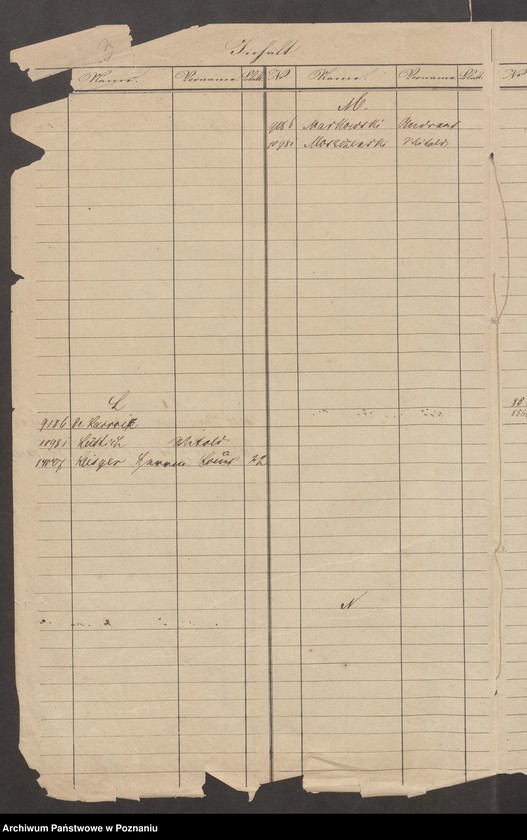 Obraz 7 z jednostki "A. betr. die Zuzüge zu den Insurgenten nach Polen vom Auslande /Deutsche, Franzosen, Italiener, Engländer, Dänen…/"