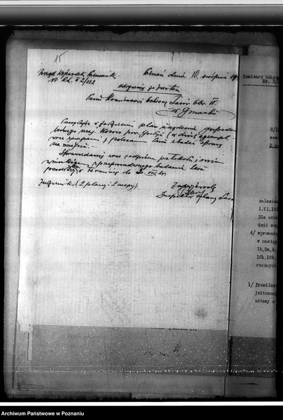 Obraz 19 z jednostki "Nadzór nad gospodarką w lasach majątku Kosowo w powiecie gostyńskim"