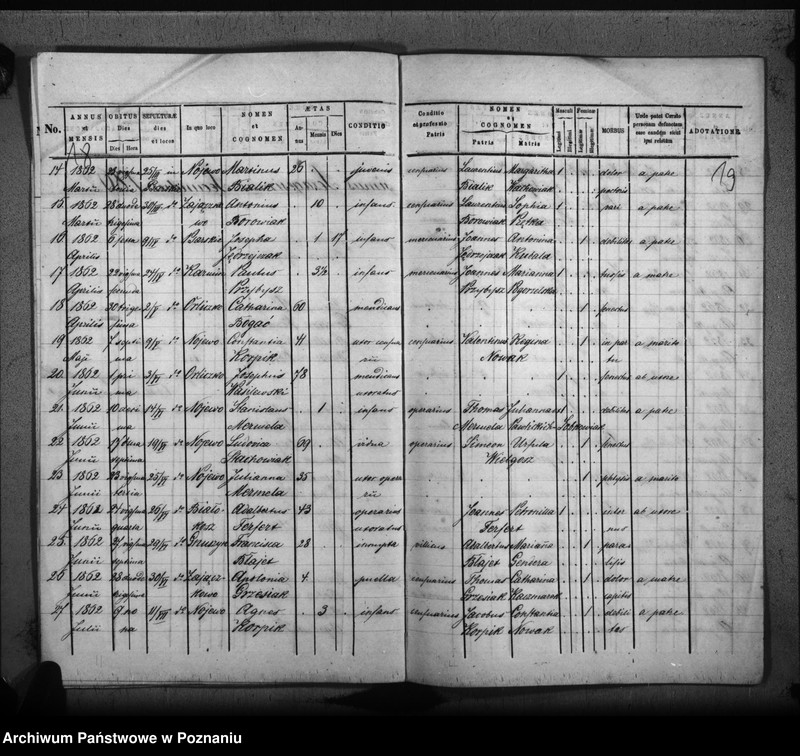 Obraz 13 z jednostki "Duplicat baptisatorum, copulatorum, mortuorum"