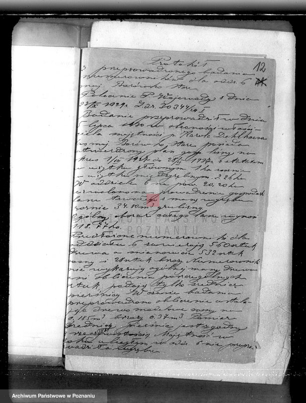 Obraz 16 z jednostki "Majętność Borówko Stare /nadzór nad gospodarką leśną/"