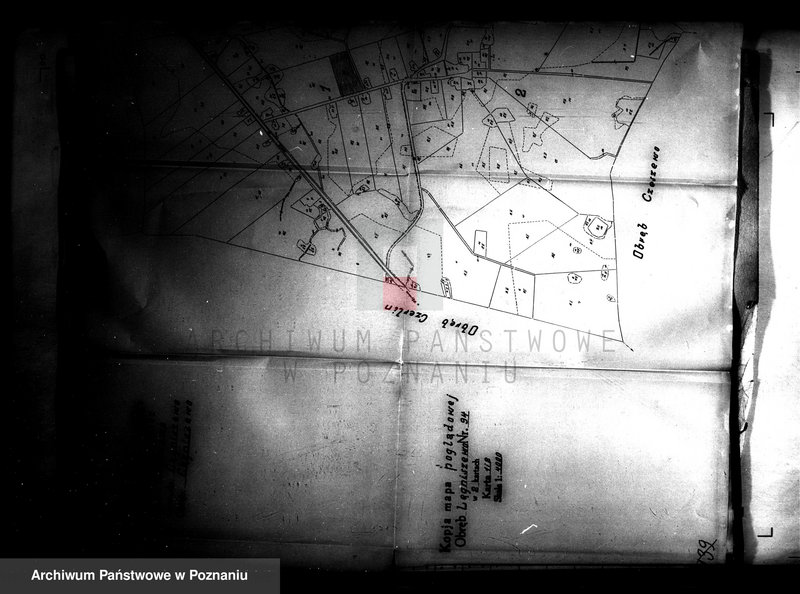 Obraz 7 z jednostki "Przewłaszczenie ziem dotacyjnych Panigródz powiat wągrowieckiego"