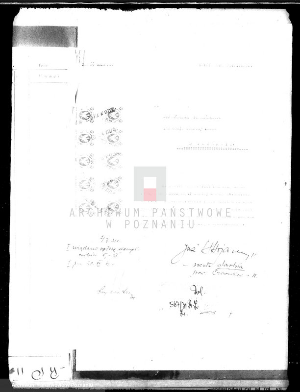 Obraz 5 z jednostki "Majętność leśna w Sarbii w powiecie czarnkowskim"