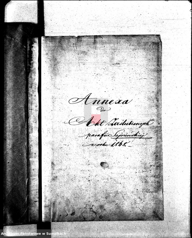 Obraz 5 z jednostki "Annexa do Akt Zaślubionych parafii Sejneńskiej z roku 1868 r."