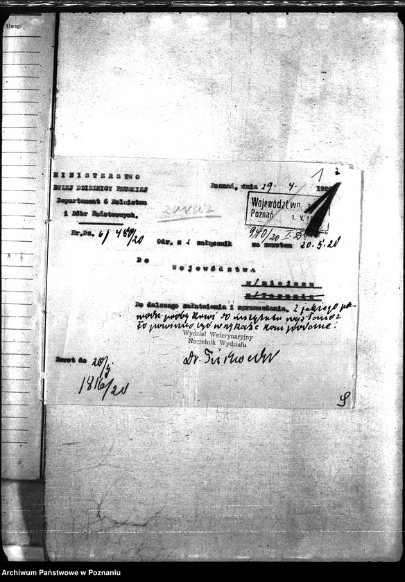 Obraz 5 z jednostki "Nosacizna - Poznań-Wschód"