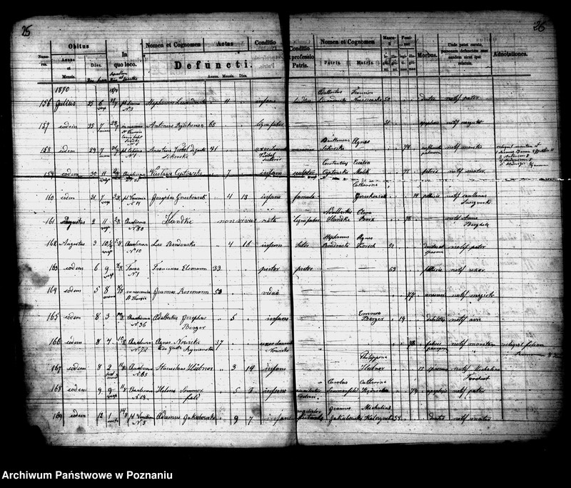 Obraz 14 z jednostki "Księga zgonów"