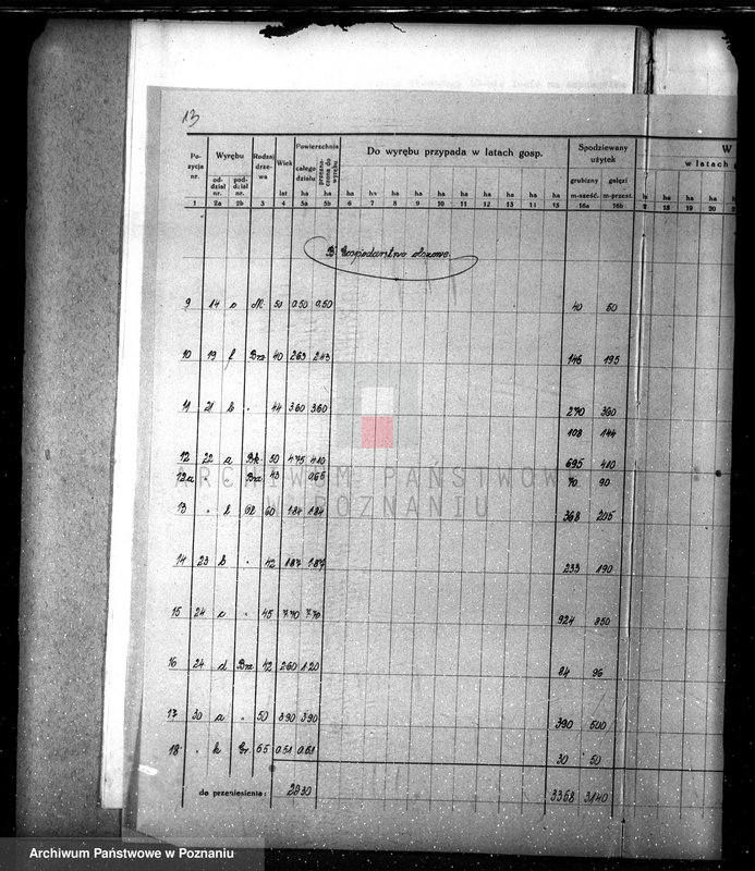 Obraz 17 z jednostki "Nadzór nad lasami/ majątku Lubasz powiatu czarnkowskiego"