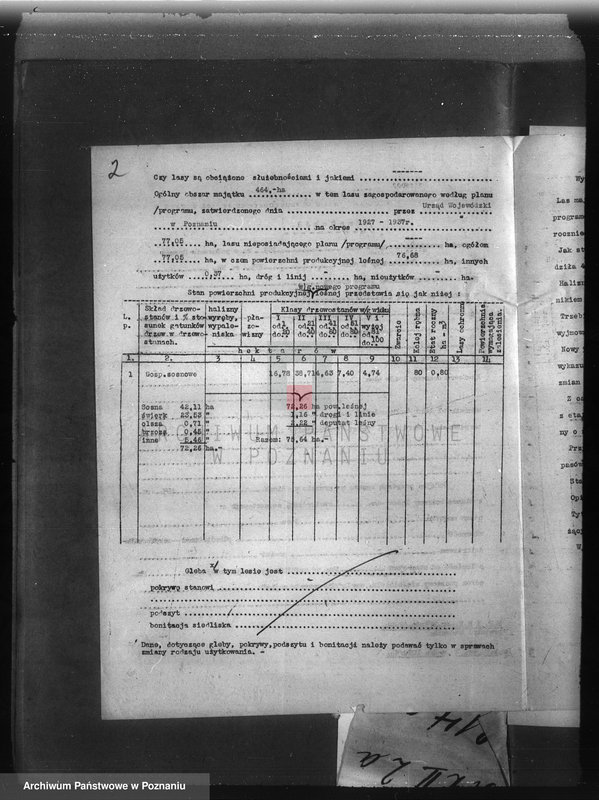 Obraz 6 z jednostki "Las majętności Bieganin powiat obornicki"