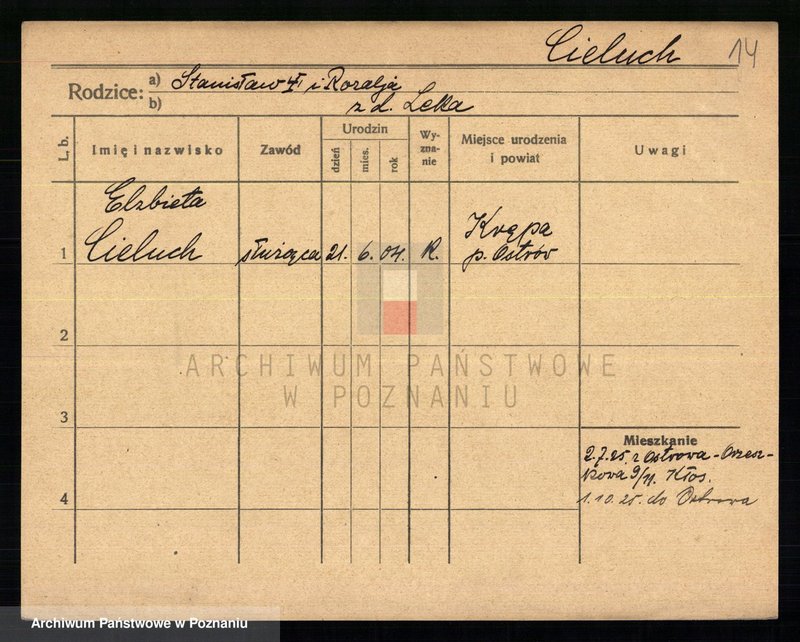 Obraz 16 z jednostki "Cieluch - Ciesielczyk"