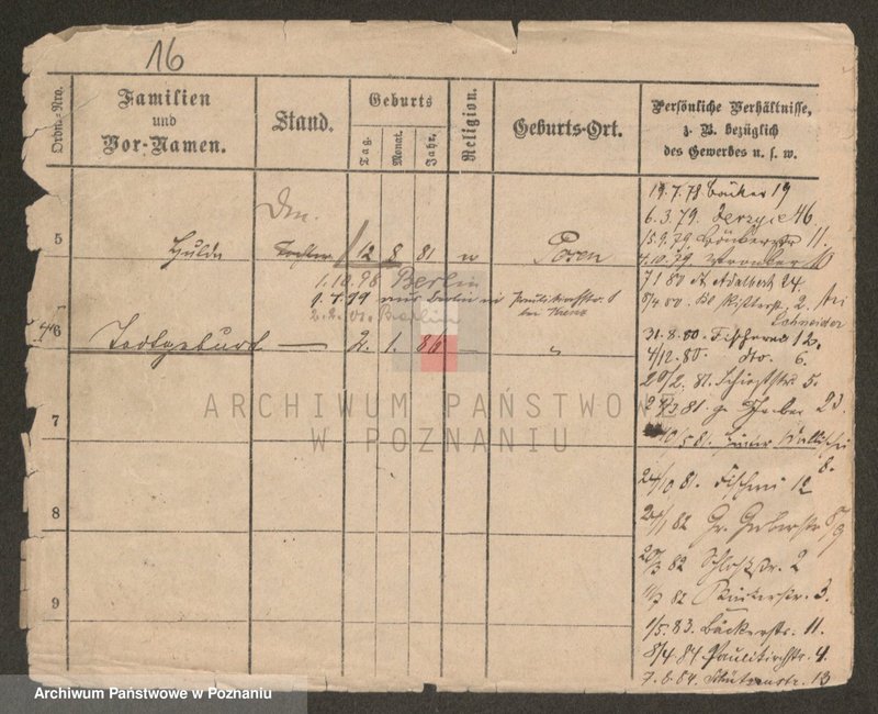 Obraz 16 z jednostki "Krenc - Krężelewski"