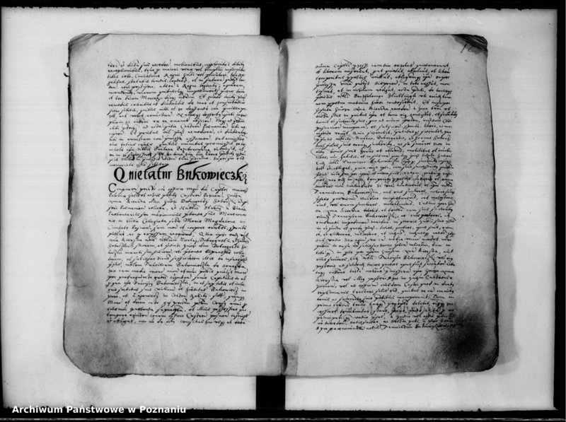 Obraz 13 z jednostki "Inscriptiones, relationes [inducta]"