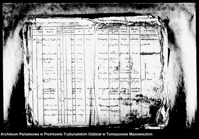 Obraz 5 z jednostki "[Księga Ludności Stałej]"