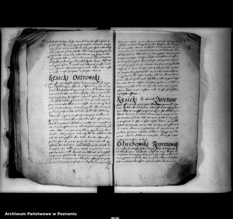 Obraz 11 z jednostki "Inscriptiones [inducta]"