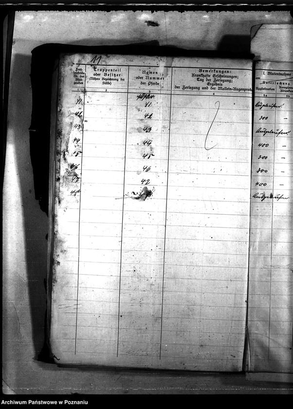 Obraz 15 z jednostki "Nosacizna - Grudziądz"