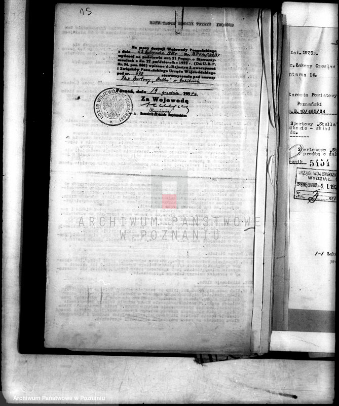 Obraz 19 z jednostki "Klub Sportowy,,Stella" w Żabikowie/"