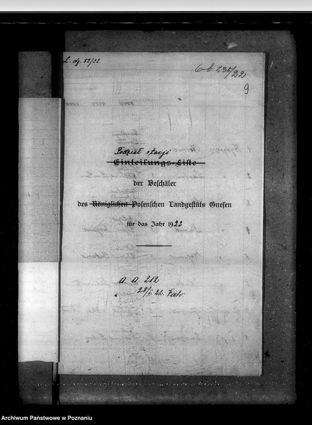 Obraz 13 z jednostki "Sprawy stadnin rozdział rządowych ogierów na stacjach"