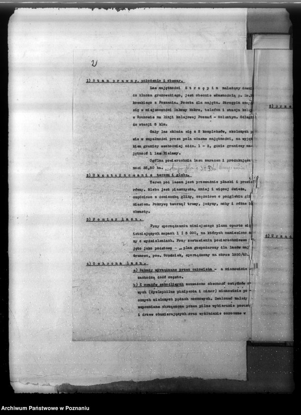 Obraz 6 z jednostki "Plan urządzenia gospodarstwa leśnego lasu majątku Strzępiń w powiecie nowotomyskim 1932-1942"