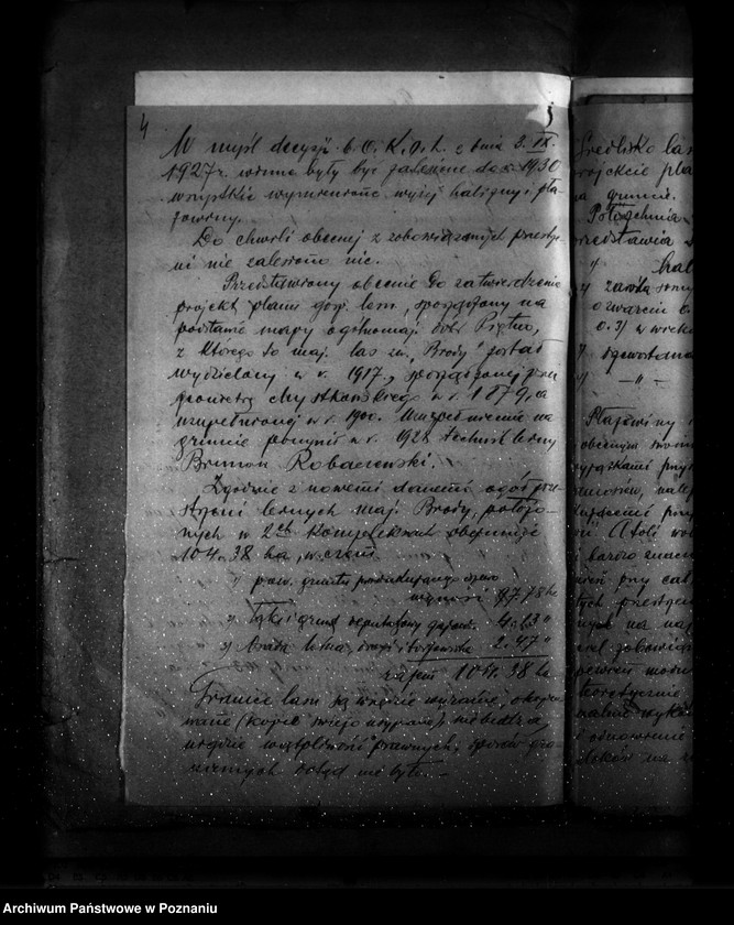 Obraz 8 z jednostki "Zatwierdzenie planu gospodarstwa leśnego dla majątku Brody powiatu tureckiego"