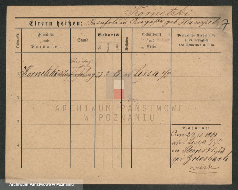 Obraz 7 z jednostki "Kornecki - Kortus"