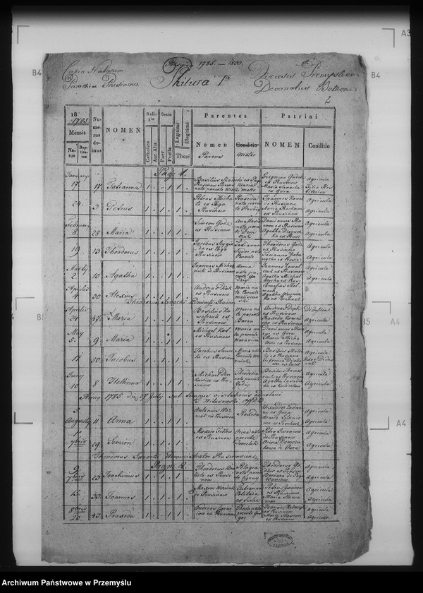 Obraz 6 z jednostki "[Kopie ksiąg metrykalnych parafii Bełz z filiami Prusinów, Tuszków, Witków (dekanat Bełz)]"