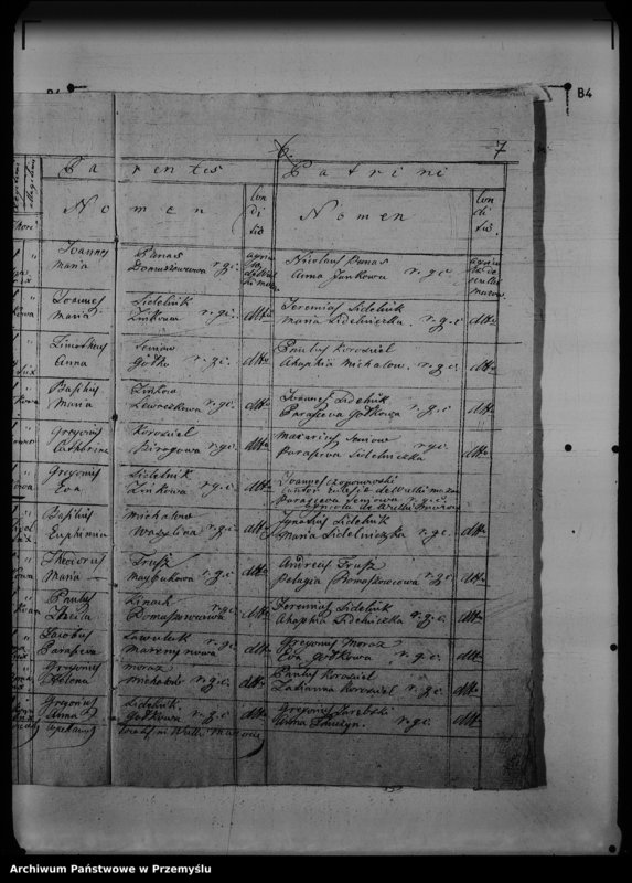 Obraz 11 z jednostki "[Kopie ksiąg metrykalnych parafii Wólka Mazowiecka (dekanat Rawa Ruska)]"