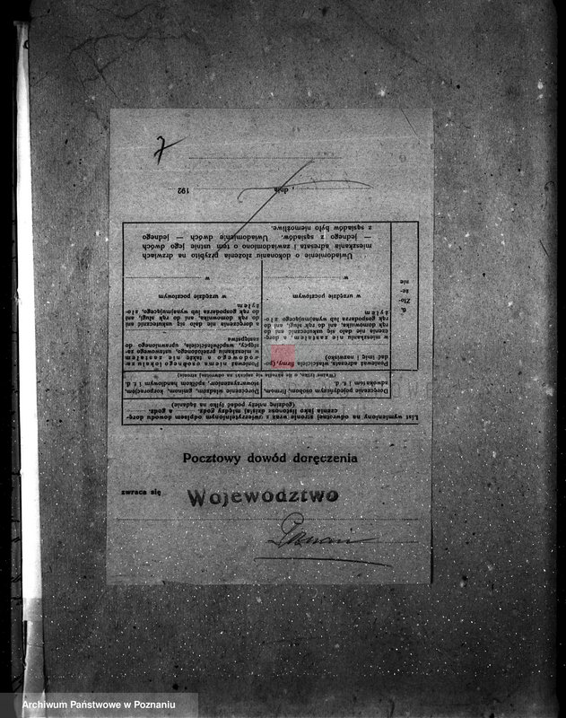 Obraz 11 z jednostki "Majętność leśna Dębowo powiat wyrzyski"