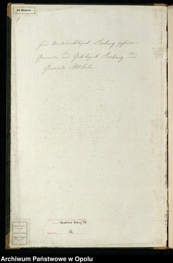 Obraz z jednostki "Geburts-Neben-Register Standes-Amt Riebnig 1885"