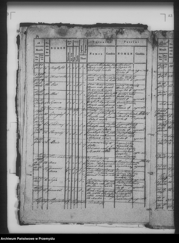 Obraz 19 z jednostki "[Kopie ksiąg metrykalnych parafii Żabcze Murowane z filią Bezejów (dekanat Bełz)]"