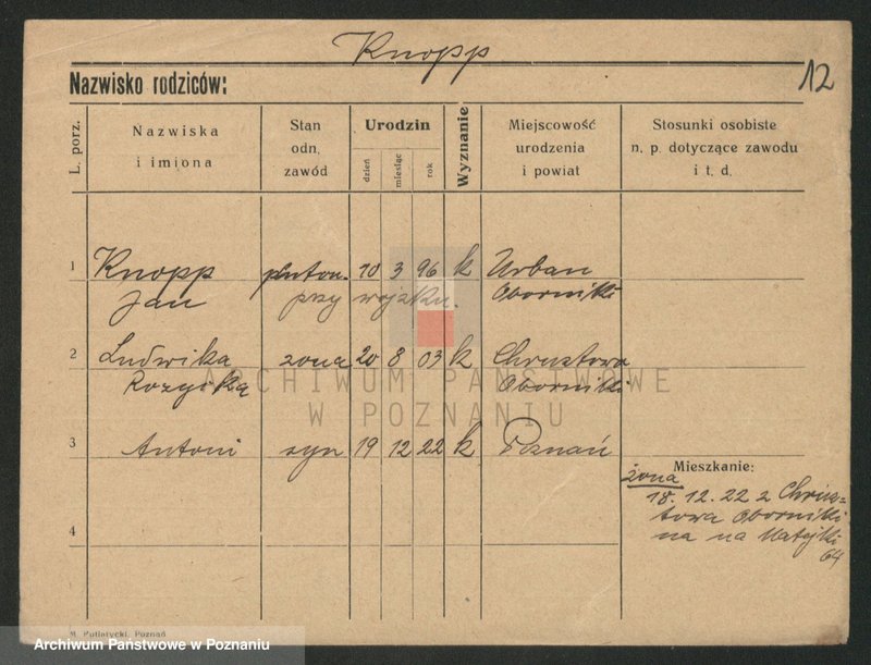 Obraz 12 z jednostki "Knop - Knytel"