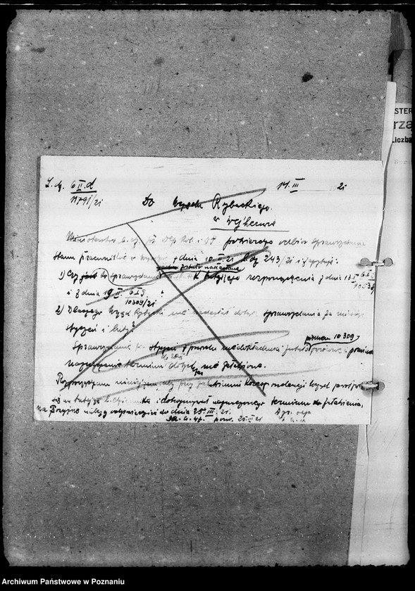 Obraz 13 z jednostki "Sprawozdania miesięczne Urzędu Rybackiego"