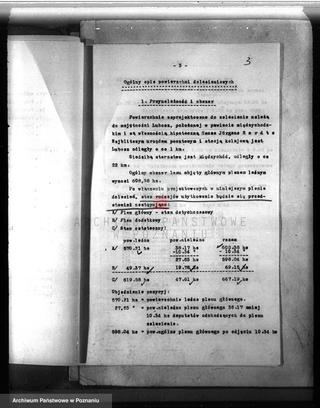 Obraz 5 z jednostki "Dodatkowy plan urządzania lasu dla lasu majątku Lubosz powiatu międzychodzkiego"