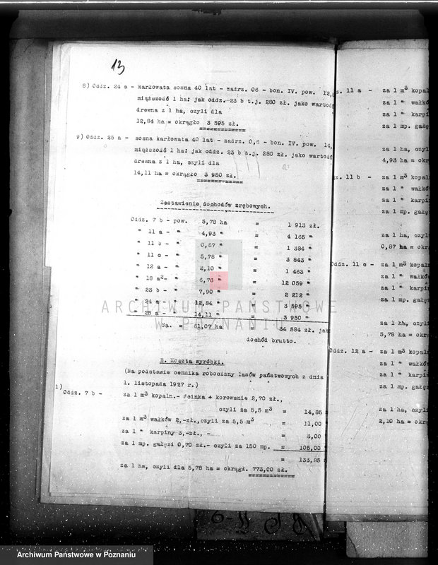 Obraz 17 z jednostki "Majętność leśna Porażyn w powiecie nowotomyskim"