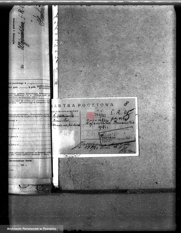 Obraz 12 z jednostki "Nadzór nad gospodarką w lasach majętności Bronisław"