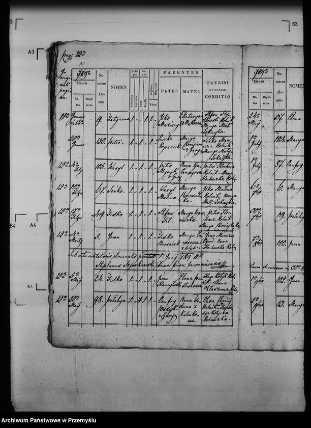 Obraz 17 z jednostki "[Kopie ksiąg metrykalnych parafii Gnojnice z filią Wola Gnojnicka (dekanat Jaworów)]"