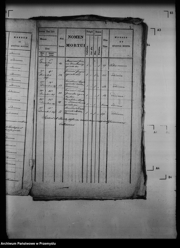 Obraz 12 z jednostki "[Kopie ksiąg metrykalnych parafii Mołoszkowice z filią Leśniowice (dekanat Jaworów)]"