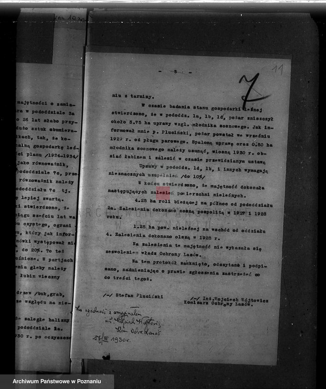 Obraz 15 z jednostki "Majętność leśna Swadzim powiat poznański"